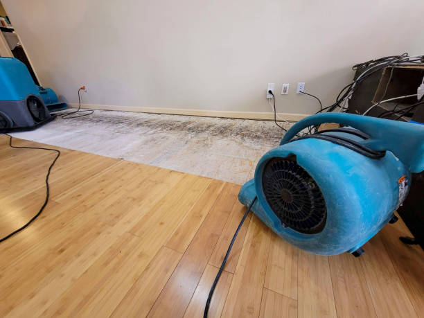 Professional Basement Flood Cleanup technician working in Westfield, WI